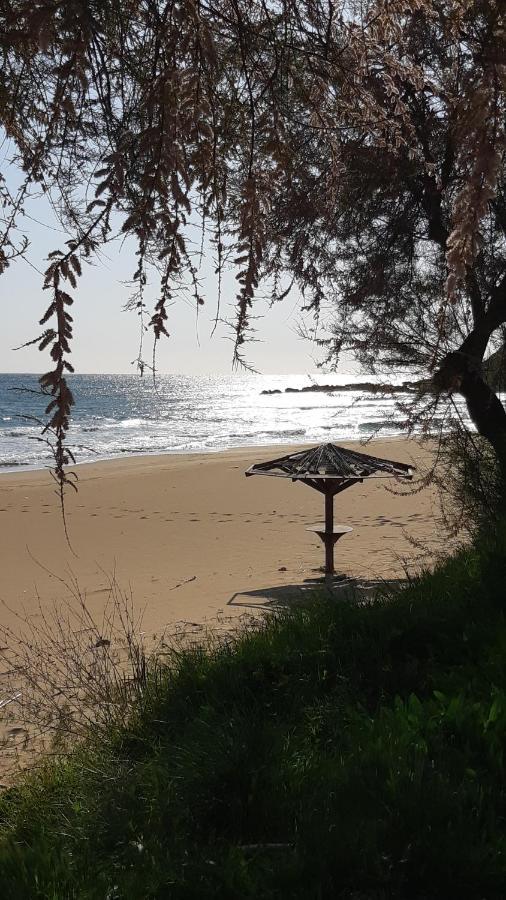Villa Armonia Βιταλάδες Εξωτερικό φωτογραφία